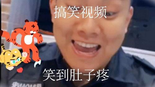 紫金搞笑视频,笑点满满，欢乐无限